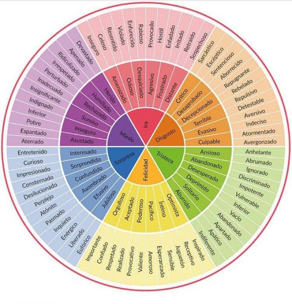 rueda de las emociones